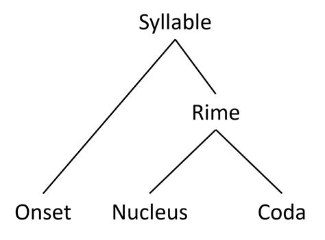 2.5 Syllables – Psychology of Language