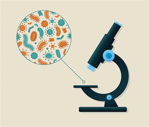 Microbiology Illustrations, Royalty-Free Vector Graphics & Clip Art - iStock