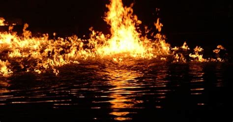 A Tale of Fire and Water: Bellandur Lake – Lakes of India