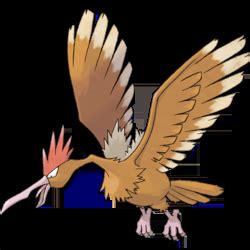 Pokemon 8022 Mega Fearow Pokedex: Evolution, Moves, Location, Stats