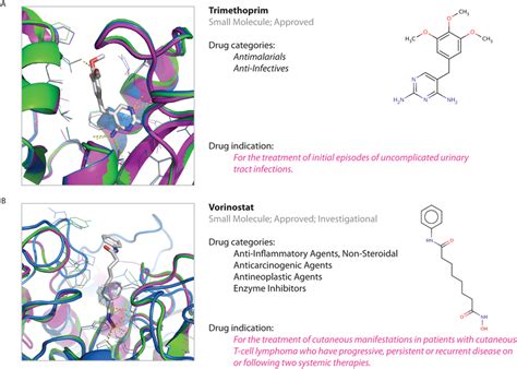 Examples of known antiprotozoal drugs detected by our method. (A ...