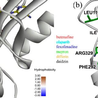 (a) Binding poses of ALDH2 with selected inhibitors from docking and... | Download Scientific ...