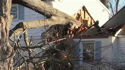 Tree crashes into Wheaton home as residents slept inside – NBC4 Washington