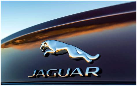 Jaguar Logo Meaning and History [Jaguar symbol]