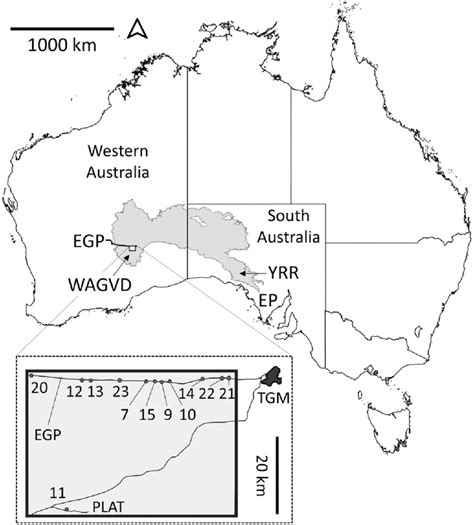 -Sminthopsis psammophila distribution map with the Great Victoria... | Download Scientific Diagram