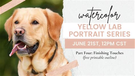 Finale - Yellow Lab Watercolor Portrait Series - Part 4 - YouTube