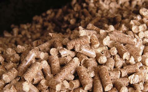 Making of Biomass Pellets | Cleantech Solutions