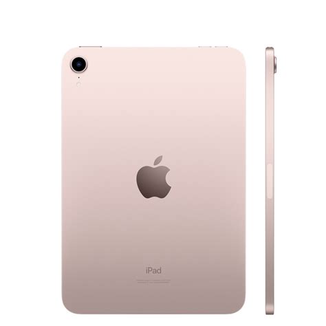 Apple IPad Wi-Fi 7th Generation Tablet 128 GB IPS (2160 X