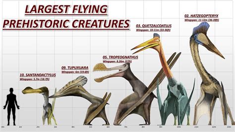 Prehistoric Flying Reptiles