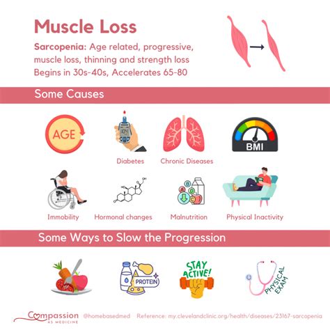 Understanding Muscle Loss: Causes, Management, and Treatment Options – Home Based Medicine