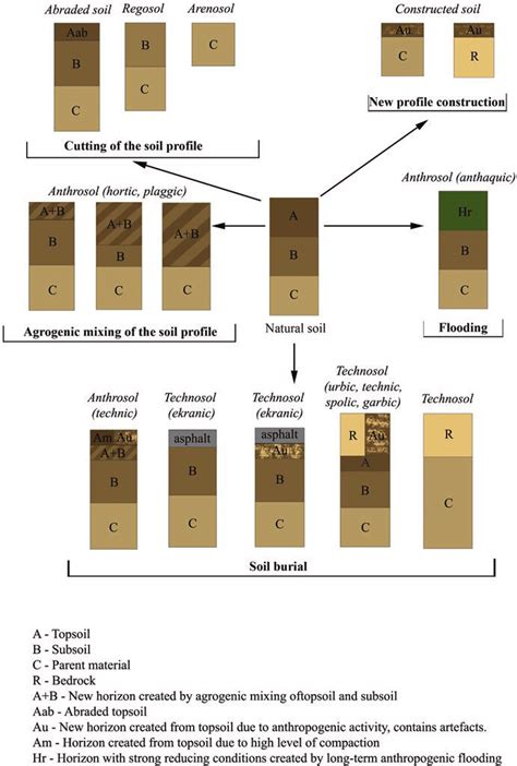 1 Main types of soil profile formation in urban environment | Download Scientific Diagram