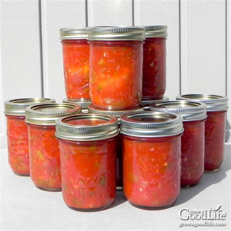 Zesty Salsa Recipe for Canning