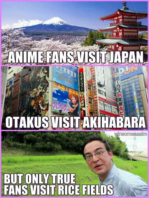 Pin by jilianne on things i laugh at that make me miserable (With images) | Otaku funny, Anime ...