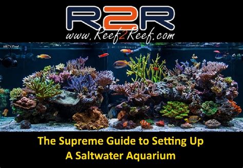 The Supreme Guide To Setting Up A Saltwater Reef Aquarium | Reef2Reef