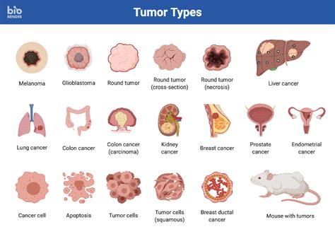 Icon Pack - Tumor Types | BioRender Science Templates