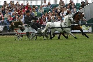 Driving Championship | The Last Royal Show | David Merrett | Flickr