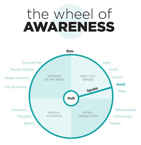 The Wheel of Awareness | Body awareness, Emotional intelligence, Emotions