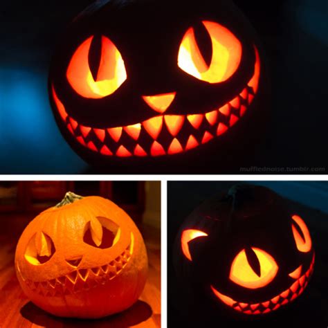 11 awesome cat pumpkin carving ideas!