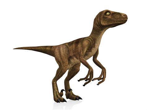 10 Facts About the Velociraptor, a World-Famous Dinosaur | Dinosaur, Velociraptor dinosaur ...