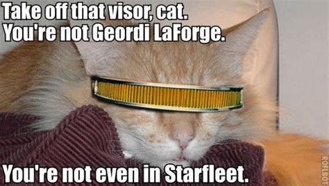 Star Trek: 10 Geordi Logic Memes That Are True And Hilarious