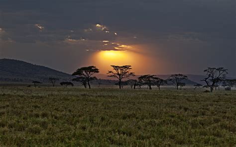 Sunset Africa Savanna Landscapes - [1920 x 1200]