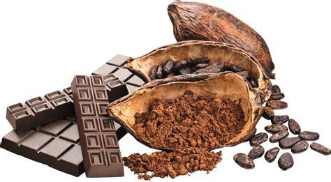 Cacao with Chocolate PNG Image - PurePNG | Free transparent CC0 PNG Image Library