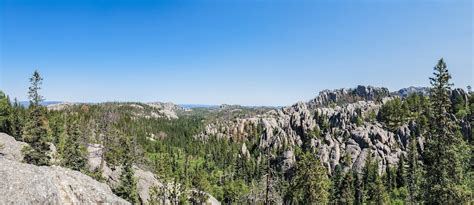 5 Breathtaking Hiking Trails in Custer State Park You Don't Want to Miss • The Hematoma