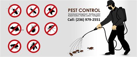 Pest Control Surrey, Domestic Professional Pest Removal Surrey