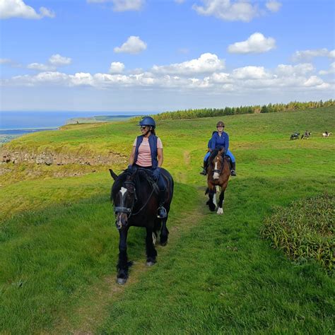 Beginner Horseback Riding Experiences Ireland - Bespoke Equestrian Ireland