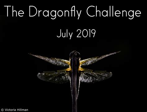 Dragonfly Challenge 2019 - British Dragonfly Society