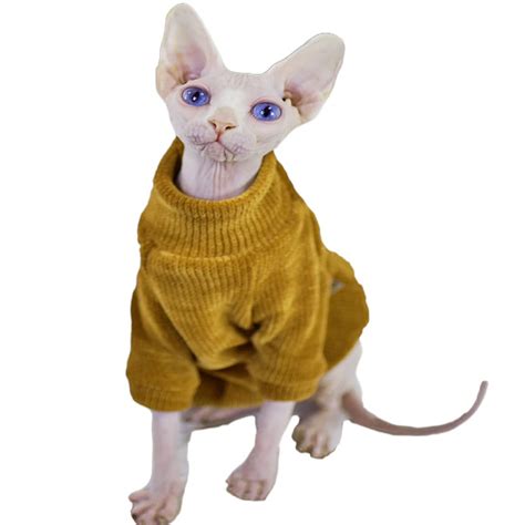 Hairless Cat Sweater | ubicaciondepersonas.cdmx.gob.mx