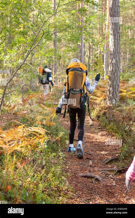 Hiking and camping in Nuuksio National Park Stock Photo - Alamy