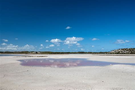 Rottnest Island Backpacker & Camping Guide 2023