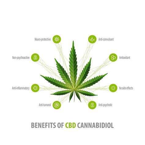 Cannabidiol Benefits, white inphographic poster with icons of benefits and green leafs of hemp ...