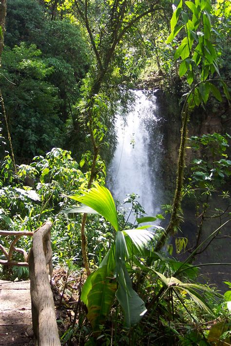 David and Carole's Great Adventures: La Paz Waterfall Gardens