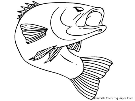 Realistic Fish Coloring Pages | Realistic Coloring Pages