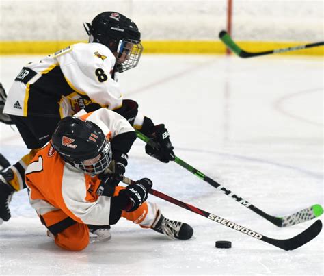 Amalgamation only answer to retain minor hockey in WOAA, report says | Mitchell Advocate