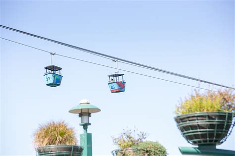 San Diego Zoo 'Skyfari' stopped for hours with over 100 on board