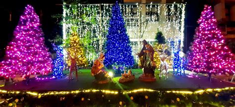 Manger - Christmas Tree Display @ Barangay Sta. Cruz Local Gov't. Office | Christmas, Christmas ...