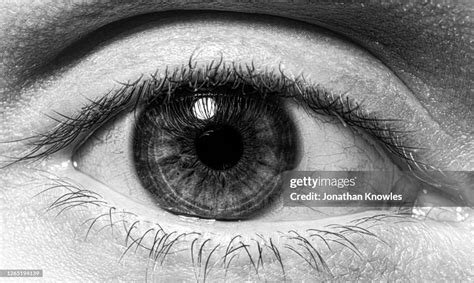 Close Up Eyeball High-Res Stock Photo - Getty Images