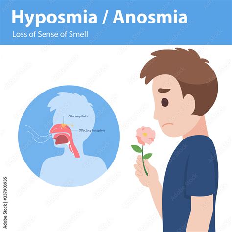 Hyposmia Anosmia, Loss of Sense of Smell Info graphic elements the signs of corona virus ...