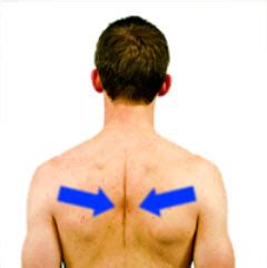 Shoulder Rehab Part III - Elite Physical Therapy and Sports Performance