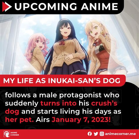 Anime Corner on Twitter: ""My Life as Inukai-san's Dog" premieres soon, and it's exactly what it ...