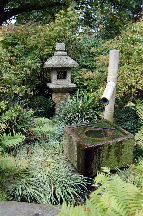 Related image | Japanese water gardens, Backyard water feature, Water features in the garden