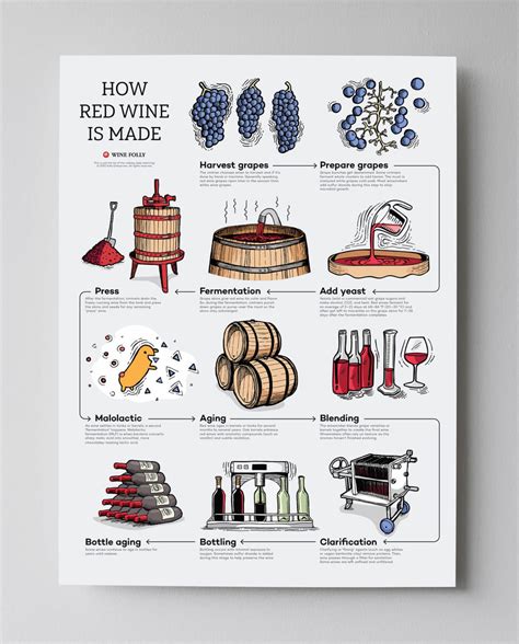 How Red Wine is Made Step by Step | Wine Folly