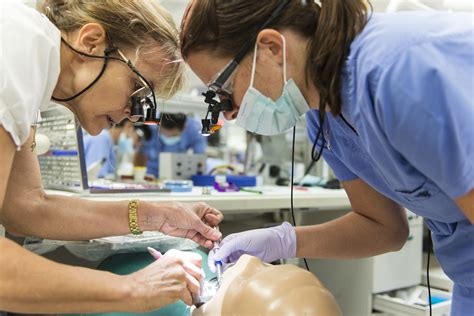 D.M.D.: Why Dentistry? » D.M.D. » Office of Admissions » College of Dentistry » University of ...