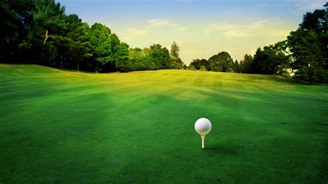 Download Cool Golf Green Course With Tee Wallpaper | Wallpapers.com