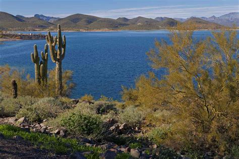 A Guide to Lake Pleasant Regional Park