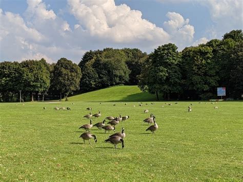 The 10 best parks in Munich