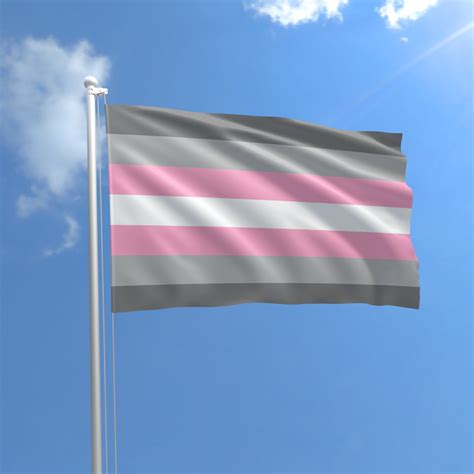 Demigirl Pride Flag - Grand Rapids Pride Center